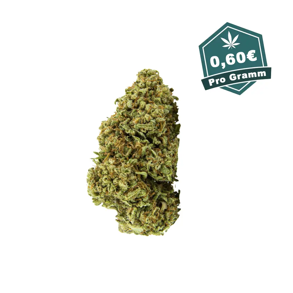 Gorilla Glue